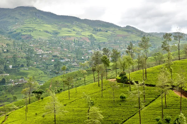 Mountainous terrain of Sri Lanka — Stock Photo, Image