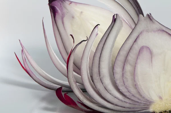 Slices of red onion — Stock Photo, Image