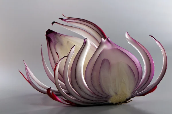 Slices of red onion — Stock Photo, Image