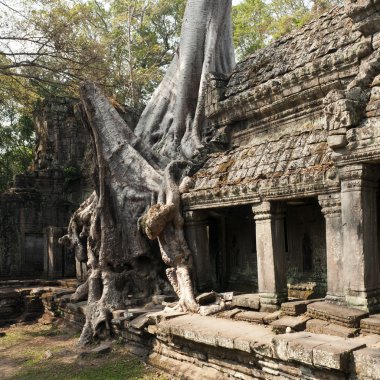 angkor Kamboçya Preah Han Tapınağı