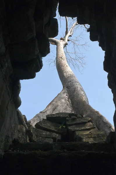 Pemandangan ke atas di dalam gedung . — Stok Foto