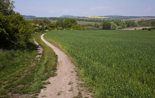 Våren landskap — Stockfoto