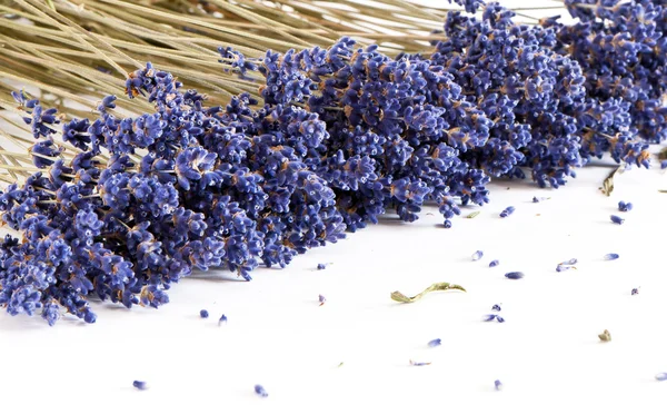 Lavanda seca — Fotografia de Stock