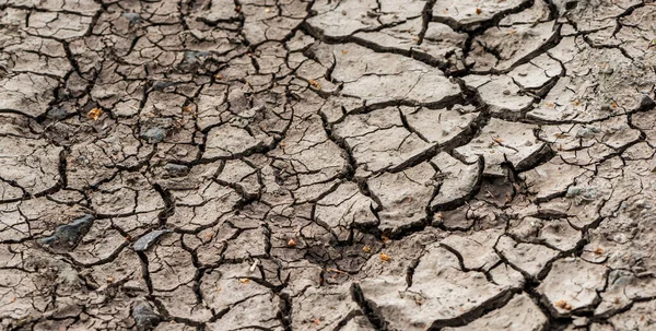 Rissige Erde Rissiger Boden Auswirkungen Der Globalen Erwärmung — Stockfoto