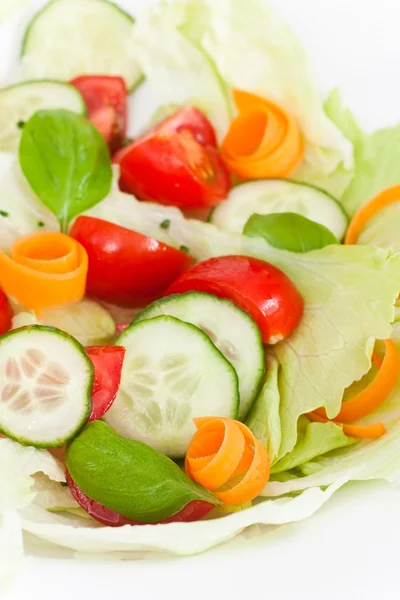 Verse salade — Stockfoto