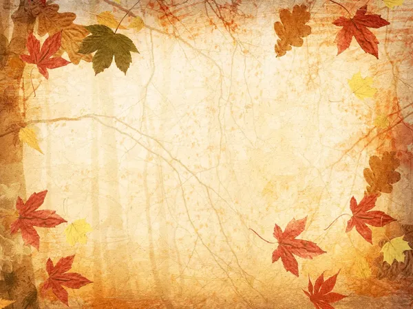 Fall Leaves Background — Stock Photo, Image