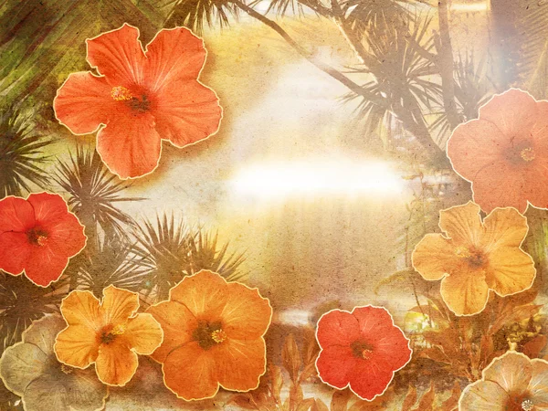 Tropical Background — Stock Photo, Image