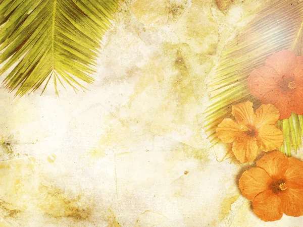 Tropical Background — Stock Photo, Image