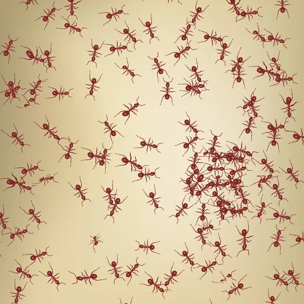 Rote Ameisenmuster — Stockvektor