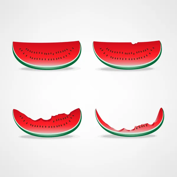 Wassermelonen-Illustration — Stockvektor