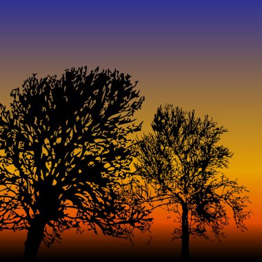 günbatımı ağaç siluetleri ile