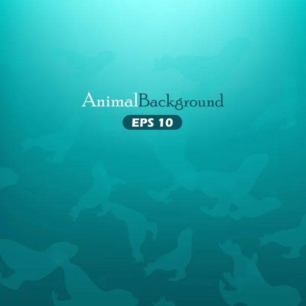 Fondo animal con focas — Vector de stock