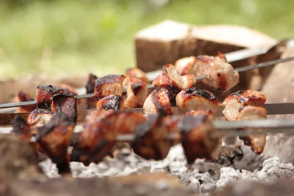 Barbekü açık havada kızartma