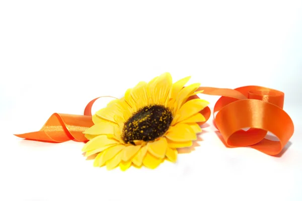 bir kurdele ile ayçiçeği