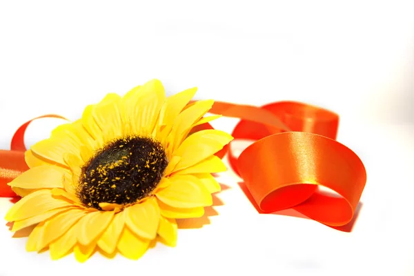 bir kurdele ile ayçiçeği