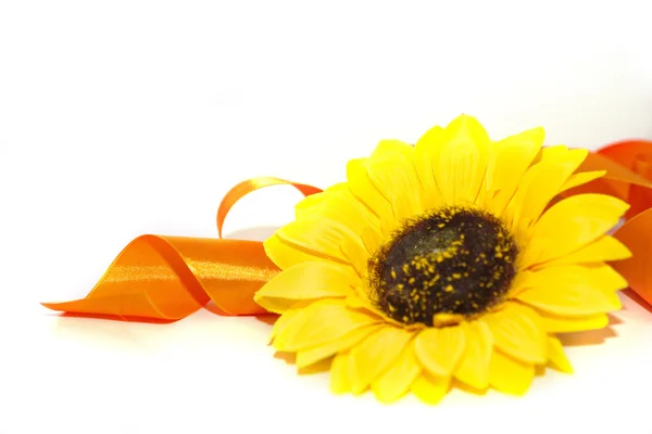 bir kurdele ile ayçiçeği