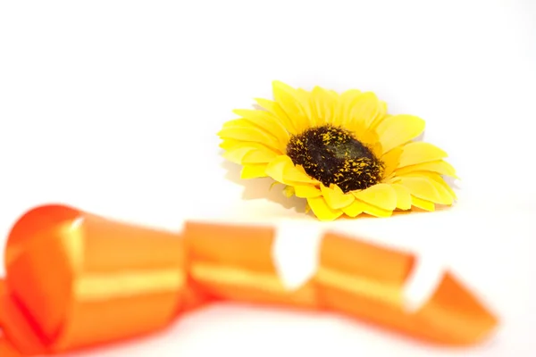 bir kurdele ile ayçiçeği