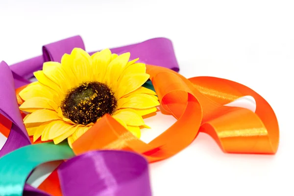 bir kurdele ile ayçiçeği