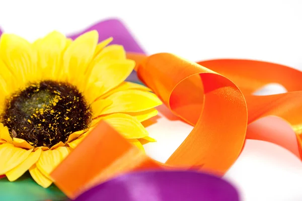 bir kurdele ile ayçiçeği