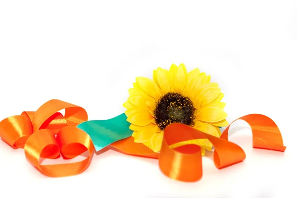 bir kurdele ile ayçiçeği