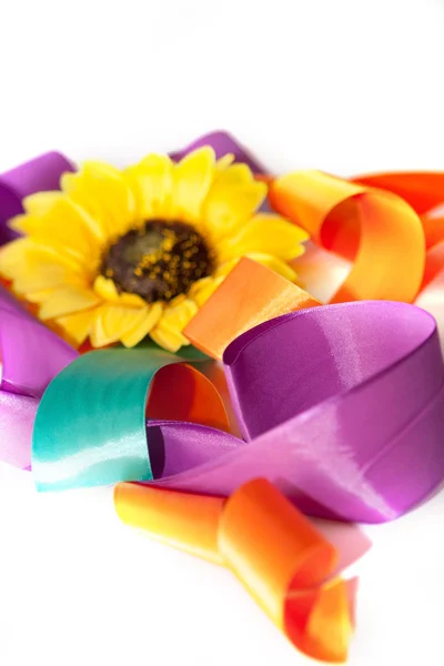 bir kurdele ile ayçiçeği