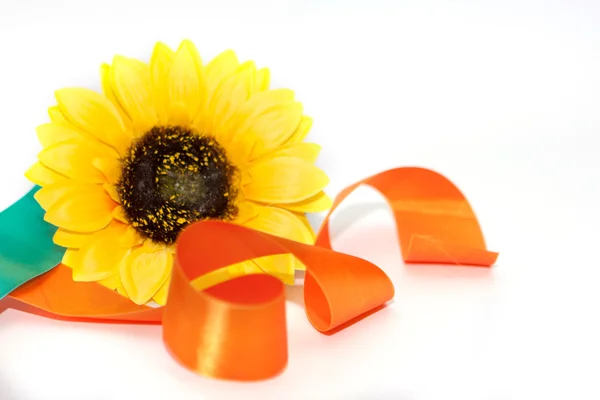 bir kurdele ile ayçiçeği