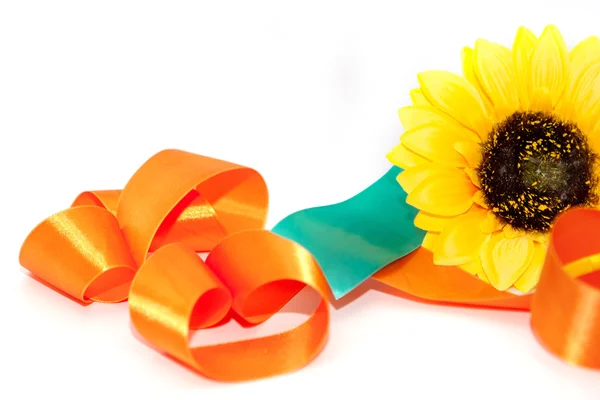 bir kurdele ile ayçiçeği