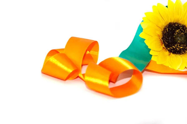 bir kurdele ile ayçiçeği