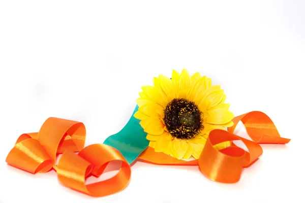 bir kurdele ile ayçiçeği