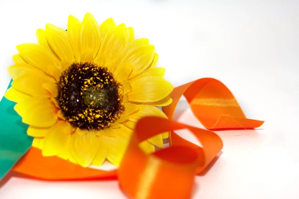 bir kurdele ile ayçiçeği