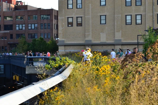 Parc High Line — Photo