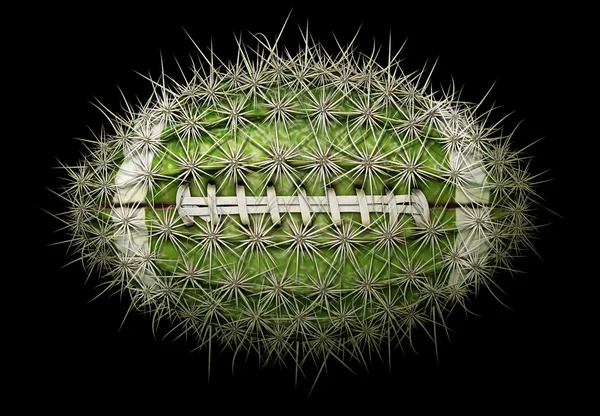Cactus voetbal — Stockfoto