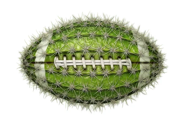 Cactus Fútbol — Foto de Stock