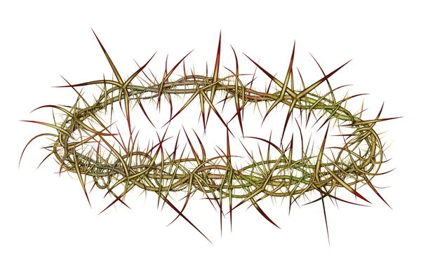 Crown of Thorns — Stock Photo, Image