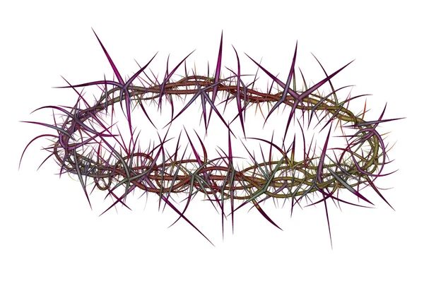 Crown of Thorns — Stock Photo, Image