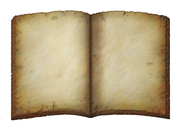 Старая пустая книга — стоковое фото