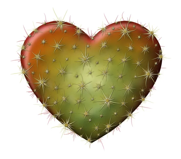 Coeur de cactus — Photo