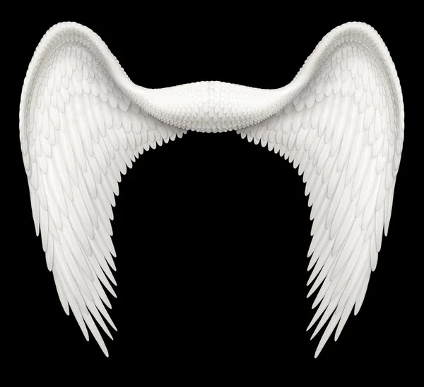 Asas de anjo Imagem De Stock