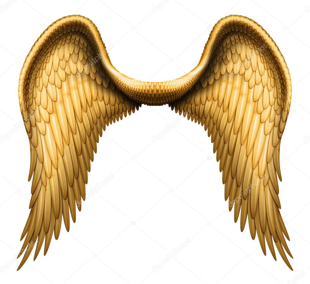 Gold Angel Wings Images – Browse 38,494 Stock Photos, Vectors, and