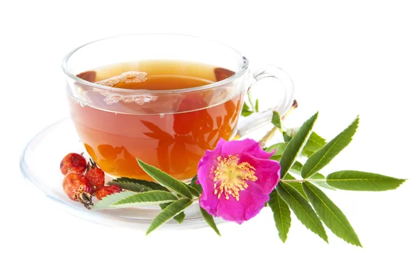 Té rosa mosqueta — Foto de Stock