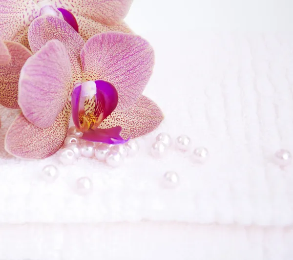 Orquídeas na toalha — Fotografia de Stock
