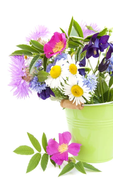 Wild flowers — Stock Photo, Image