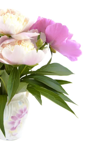 Peonia bouquet — Foto Stock