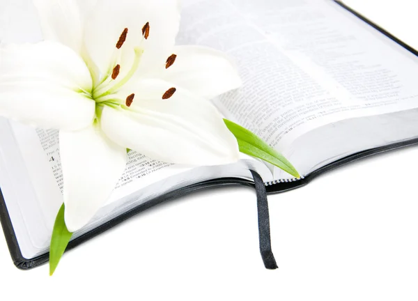 Easter Lily and Bible — Stock Photo, Image