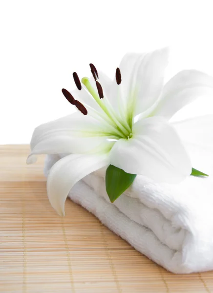 Lírio branco e toalha — Fotografia de Stock