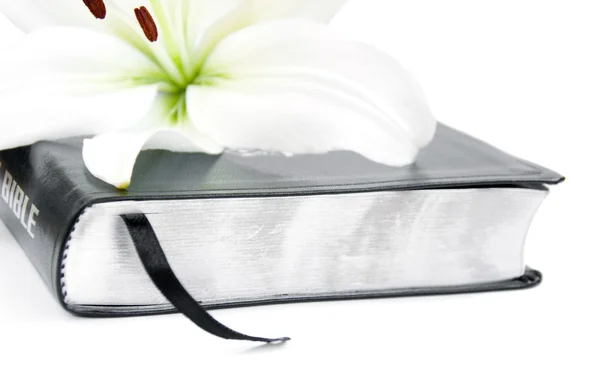 Easter Lily and Bible — Stock Photo, Image