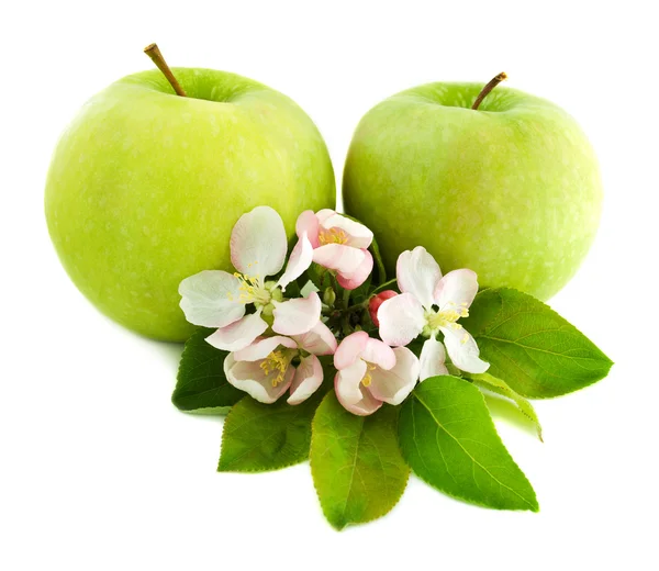 Appels en bloem bloeien — Stockfoto