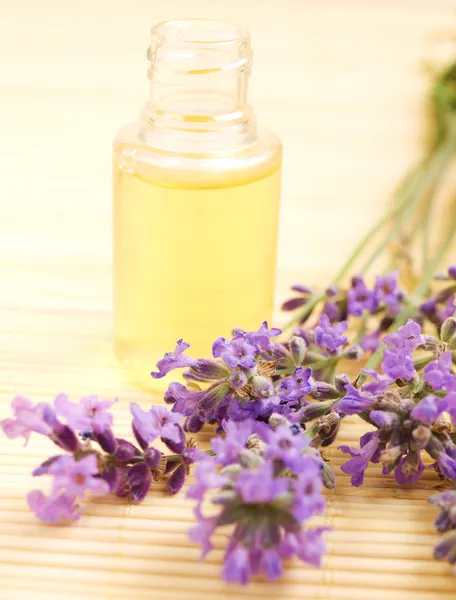 Olio da massaggio alla lavanda — Foto Stock