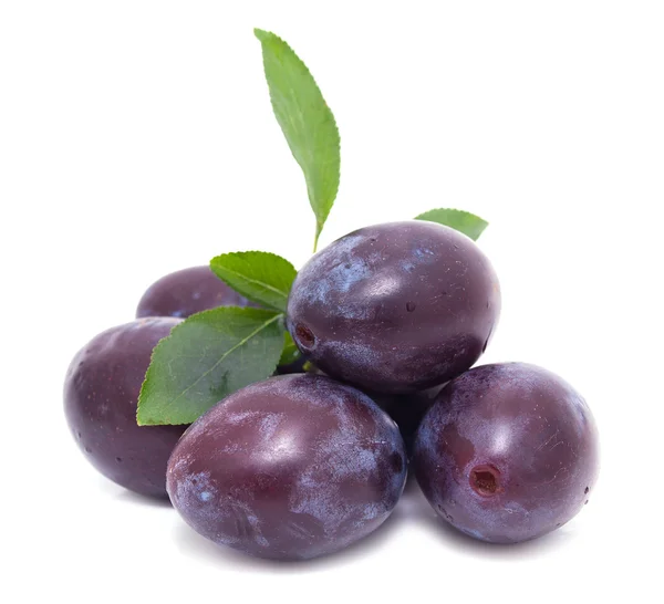 Plums with green leaves — Stock Photo, Image