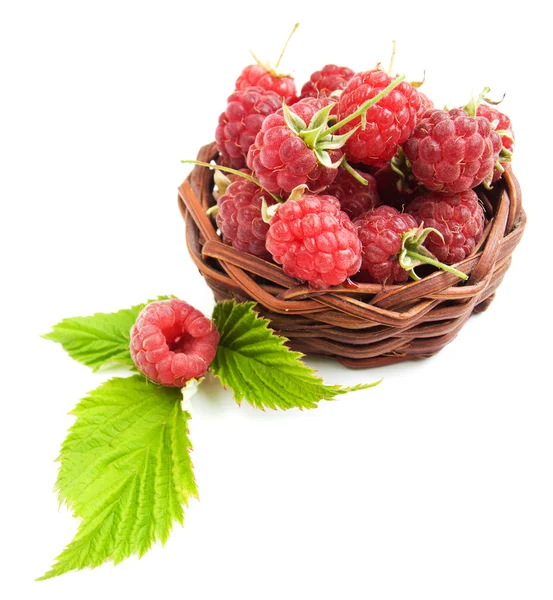 Basket with fresh raspberries and green leaves — Stock Photo, Image